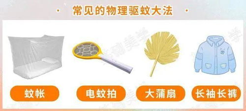 蚊子為何獨寵你？牙膏的妙用與防蚊科學