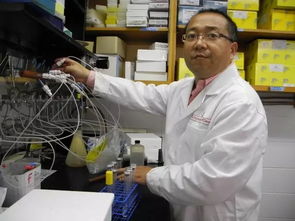 科技賦能，古樹(shù)新生 姜明國(guó)與生物科技讓六堡茶煥發(fā)青春